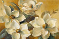 Image Not Available